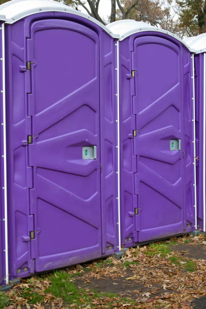 Types of Portable Toilets We Offer in Lodi, WI